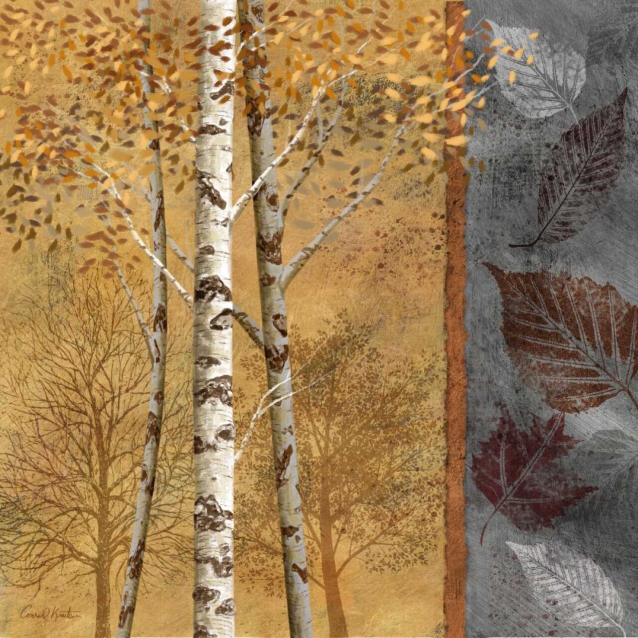 Birch Trees in Autumn II Poster Print by Conrad Knutsen - Item # VARPDX12303